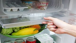 Bảo quản thực phẩm đúng cách khi sử dụng tủ lạnh mini