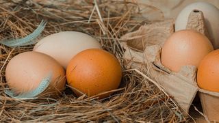 Vì sao trứng lại quan trọng trong làm bánh và cách chọn trứng ngon, lưu ý sử dụng để làm bánh