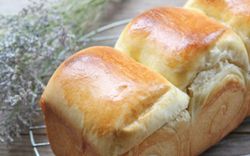 Cách làm bánh mì hokkaido sữa bông xốp dai mềm chuẩn vị, thơm ngon khó cưỡng