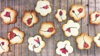[Video] Hướng dẫn chi tiết cách làm bánh quy hoa anh đào cực ngon