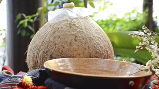 Cách làm rượu dừa tươi thơm ngon chuẩn vị đơn giản tại nhà