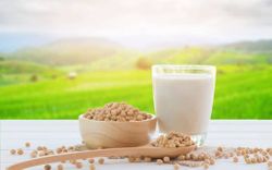 U xơ tử cũng có nên uống sữa đậu nành? Biết để kiểm soát bệnh