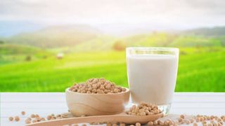 U xơ tử cũng có nên uống sữa đậu nành? Biết để kiểm soát bệnh