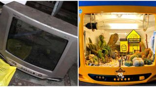 Mua chiếc TV 20k ở tiệm đồng nát, chàng trai khiến ai nấy tròn mắt khi tái chế thành vườn xương rồng mini đẹp ngất ngây