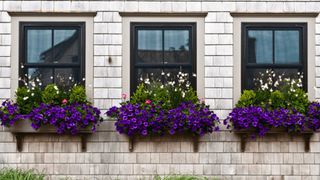 Những bí quyết đơn giản và tiết kiệm tạo vẻ đẹp hiện đại, cuốn hút cho khung cửa sổ nhà bạn