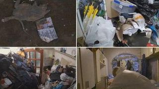 Bên trong căn hộ nhiều rác nhất Anh quốc: Chuột vào rồi đành bỏ mạng vì không có đường ra