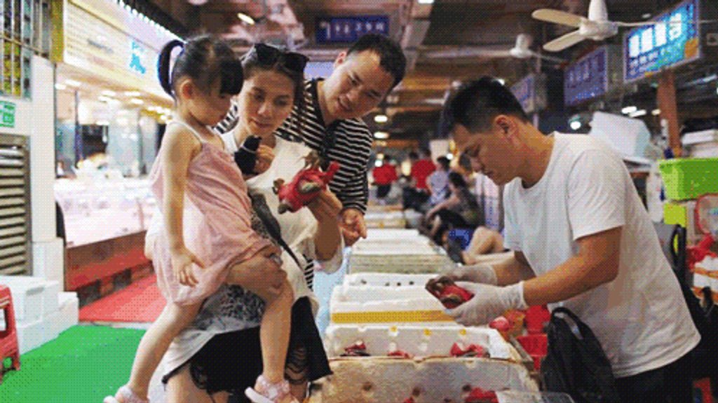 Gia đình chị Huang hạnh phúc khi sống ở vùng quê Trạm Giang.