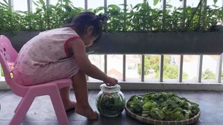 Ban công nhỏ ở chung cư phủ kín đủ loại rau quả sạch nhờ trồng bằng ống nhựa của mẹ đảm ở Sài Gòn