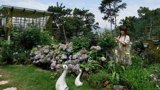 Người phụ nữ 40 tuổi cắt đứt liên lạc với chồng 7 tháng để cải tạo ngọn đồi cằn cỗi thành vườn hoa đẹp như trong mơ