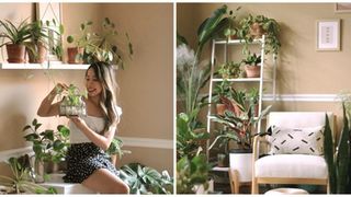 Cô gái Việt sở hữu không gian sống ngập cây xanh ở Mỹ chia sẻ kinh nghiệm chọn và chăm cây hữu ích dành riêng cho nhà chật