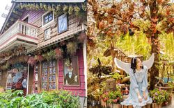 Xuất hiện quán cà phê như trong thế giới cổ tích Disney nằm ngay tại Đà Lạt, phía trên là khu sống ảo xịn xò, bên dưới là vườn hoa cánh bướm cực ảo