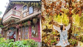 Xuất hiện quán cà phê như trong thế giới cổ tích Disney nằm ngay tại Đà Lạt, phía trên là khu sống ảo xịn xò, bên dưới là vườn hoa cánh bướm cực ảo