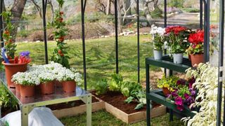 Ý tưởng dựng nhà kính trồng rau trong vườn, vừa có rau ăn vừa trang trí vườn đẹp như cổ tích