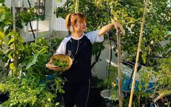 Kinh nghiệm trồng cả vườn rau sạch không khác gì "trang trại" trên sân thượng của mẹ đảm Sài Gòn