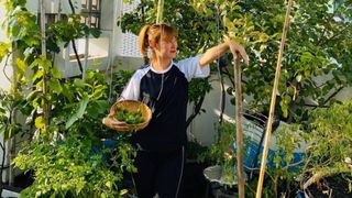 Kinh nghiệm trồng cả vườn rau sạch không khác gì "trang trại" trên sân thượng của mẹ đảm Sài Gòn