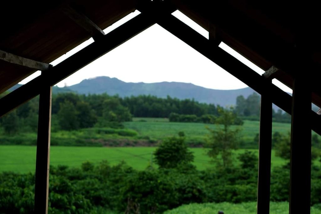 Từ những khung cửa sổ của nhà Tâm An sẽ nhìn ra được ruộng lúa, triền núi và những bông hoa xinh đẹp như thế này.