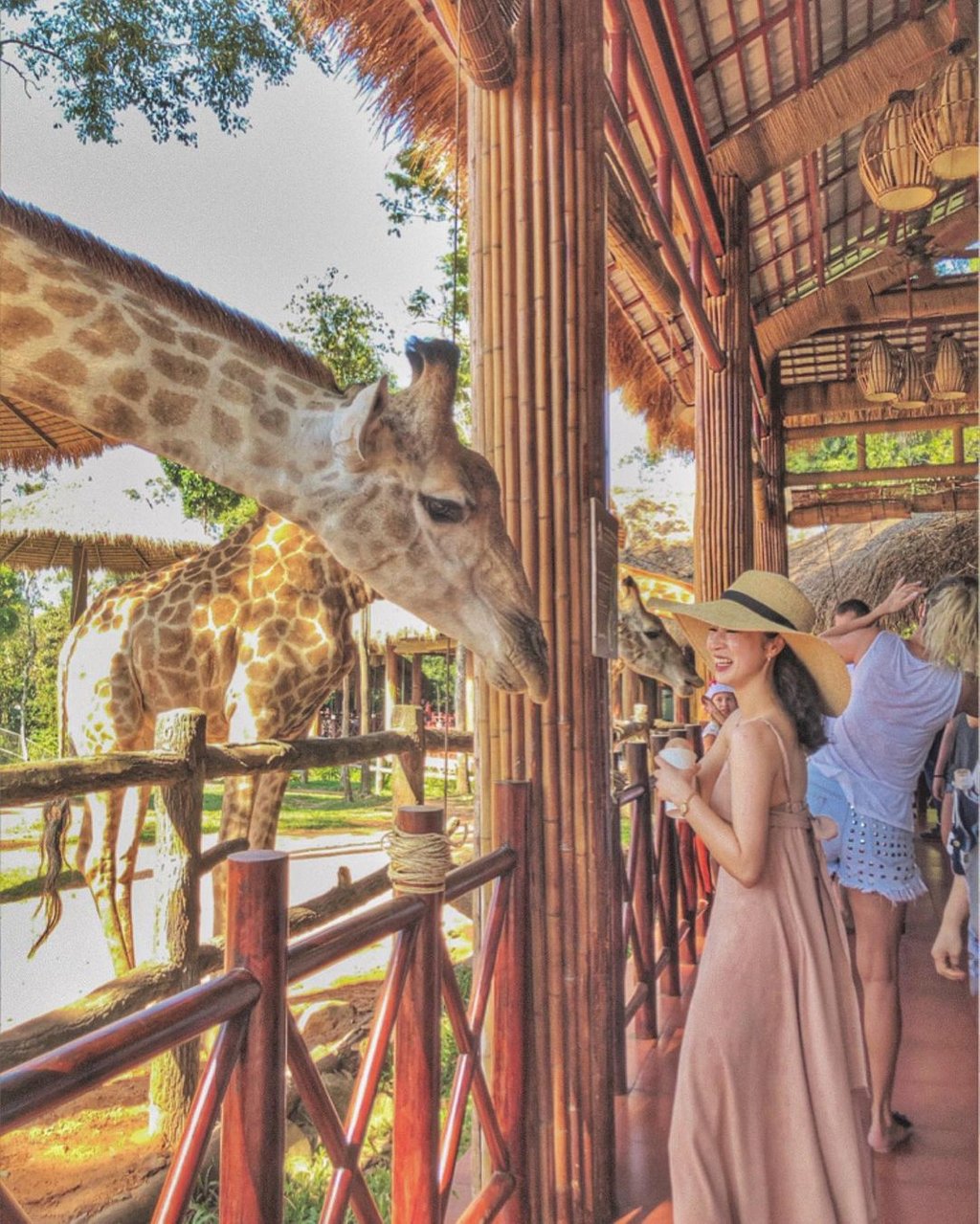 Ở Vinpearl Safari Phú Quốc bạn sẽ được tiếp xúc với một số loài động vật tại khu vườn vườn thú mở.