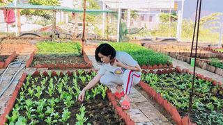 Mẹ đảm Quy Nhơn nghỉ việc công ty về quê quy hoạch vườn 500m² cực khoa học để trồng đủ các loại rau quả sạch