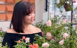 Ngày 20/11 ghé thăm vườn hồng ngát hương dịu dàng khoe sắc trên sân thượng của cô giáo dạy Văn ở Nha Trang