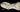 Hóa thạch phổi của cá vây tay 66 triệu năm tuổi nằm cạnh những đoạn xương bò sát bay Pterodactylus. Ảnh: Đại học Portsmouth.