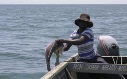 Cá chết hàng loạt ở hồ lớn nhất châu Phi