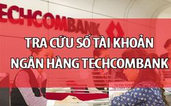 6 cách tra cứu số tài khoản Techcombank nhanh chóng, tiện lợi
