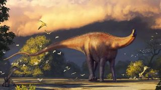 Phát hiện loài khủng long mới dài tới 20 m